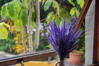 Coastal Villa - East London - 2