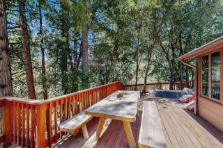 Wildwood Cottage - Idyllwild - 5