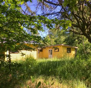 Swedish-Inspired Home In Odden's Forest - 1