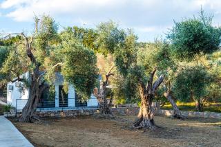 Vikanto Stay - Ulcinj - 9