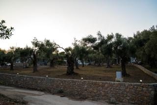 Vikanto Stay - Ulcinj - 3