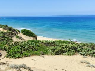 Domu de mannai - Casa vacanze in Sardegna - - 3