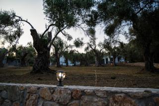 Vikanto Stay - Ulcinj - 4