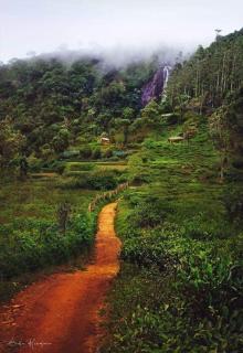 The Paulwood cabana home stay - Nuwara Eliya - 7