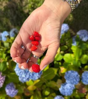 Maison de charme - 1