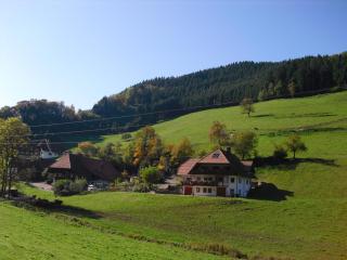 Stulzenhof - 7