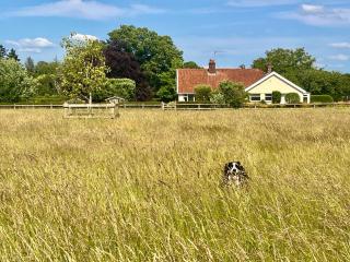 Larks Rise - Large Farm House Bungalow with Gardens & Field - Weston Longville - 6