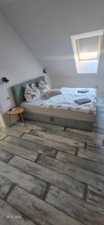 Apartmány HAVLÍČKOVA 423 - Česká Lípa - 9