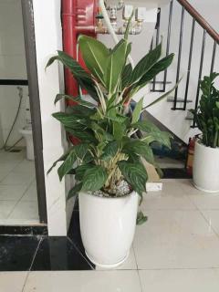 HH Apartment stop - Hanoi - 7