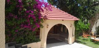 Royal Lella - - 6