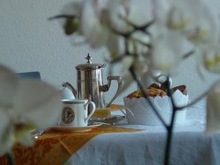 Alouette - Colmar - 3