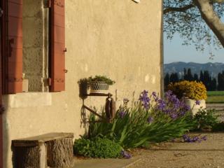 Le Gîte Du Poète - Maillane - 2