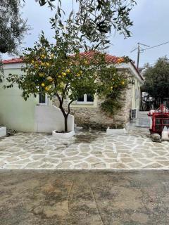 Mediterranean house - Skala Sotiros - 8