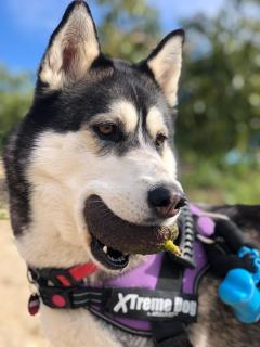 Gaia Home Retreat - 2