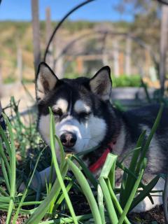 Gaia Home Retreat - Alozaina - 2