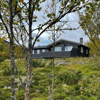 Cabin In Uvdal With A View Ski-In-Out - Uvdal - 0