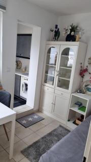 Kleine Auster - Norderney - 5