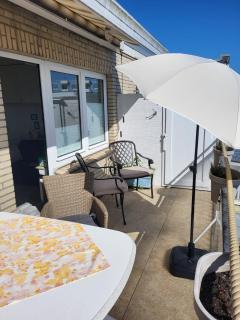 Kleine Auster - Norderney - 1