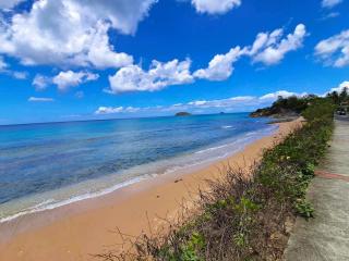 EXCLU été 2025 Appart face mer et plage 2 chambres - - 5