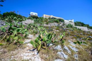 Punta Correnti Seaview Apartments, Castro Marina - Castro di Lecce - 5