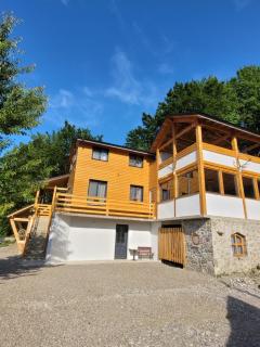 Cabana NEST - Bistricioara - 8