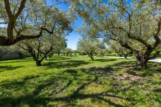Domaine Des Escaunes - 1
