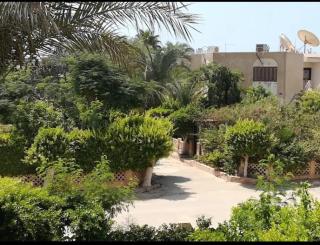 شاليه بحديقة - Ain Sukhna - 6