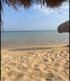 شاليه بحديقة - Ain Sukhna - 5