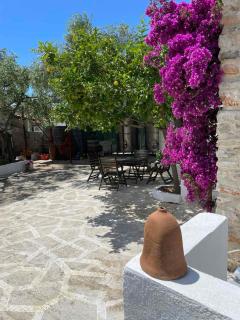 Mediterranean house - Skala Sotiros - 1