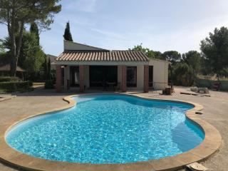 Le Loft Piscine & Jardin, Séjour atypique 3 étoiles - Aubais - 0