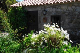 Kleines Ferienhaus Mit Terrasse Und Parkplatz - Afife - 0