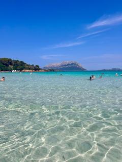 OLBIA 53-11 CIN r3659 - Olbia - 0