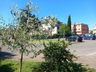 Dolce Sguardo su Orvieto - Orvieto - 9