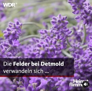Detmolder Loft 3 - 9