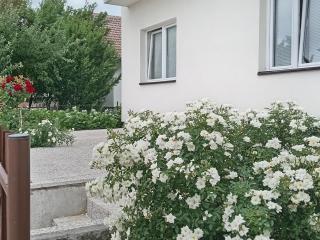 apartman Tomić - 6