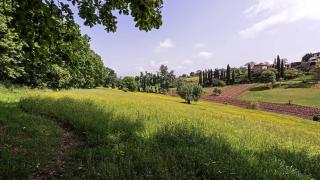Sophisticated 1BR Apartment in Florence countryside - Florenz - 1
