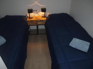 Chalet Vlinder - Haarle - 5