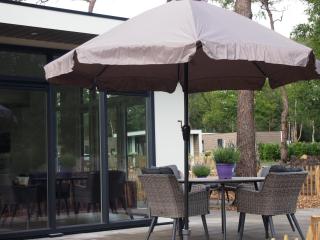 Chalet Vlinder - Haarle - 2
