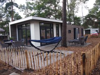 Chalet Vlinder - Haarle - 0