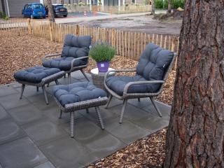 Chalet Vlinder - Haarle - 1