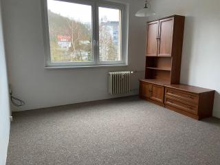 Garsonka pro 2 osoby v centru Karlových Varů - Karlovy Vary - 3