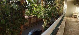 Authentic Creative Nile-Side Nest - 3