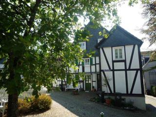 Ferienhaus im Grünen - NEU mit E-Auto Ladesäule - Morsbach - 7