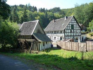 Ferienhaus im Grünen - NEU mit E-Auto Ladesäule - Morsbach - 5