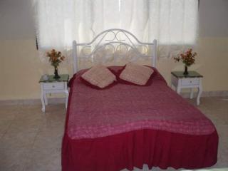 Hotel Gran Nevada Playas - Playas - 7