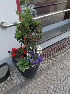 Ferienwohnung - Rübeland - 3