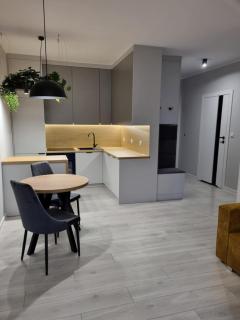 Domek pod świerkami "Apartament Świerkowy 8" w Centrum - Kudowa-Zdrój - 4