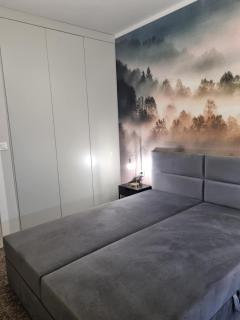 Domek pod świerkami "Apartament Świerkowy 8" w Centrum - Kudowa-Zdrój - 3