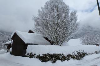 Petit Chalet de charme - Samoëns - 5