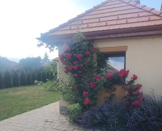 Cazare rustică la curte - Miercurea-Ciuc - 6